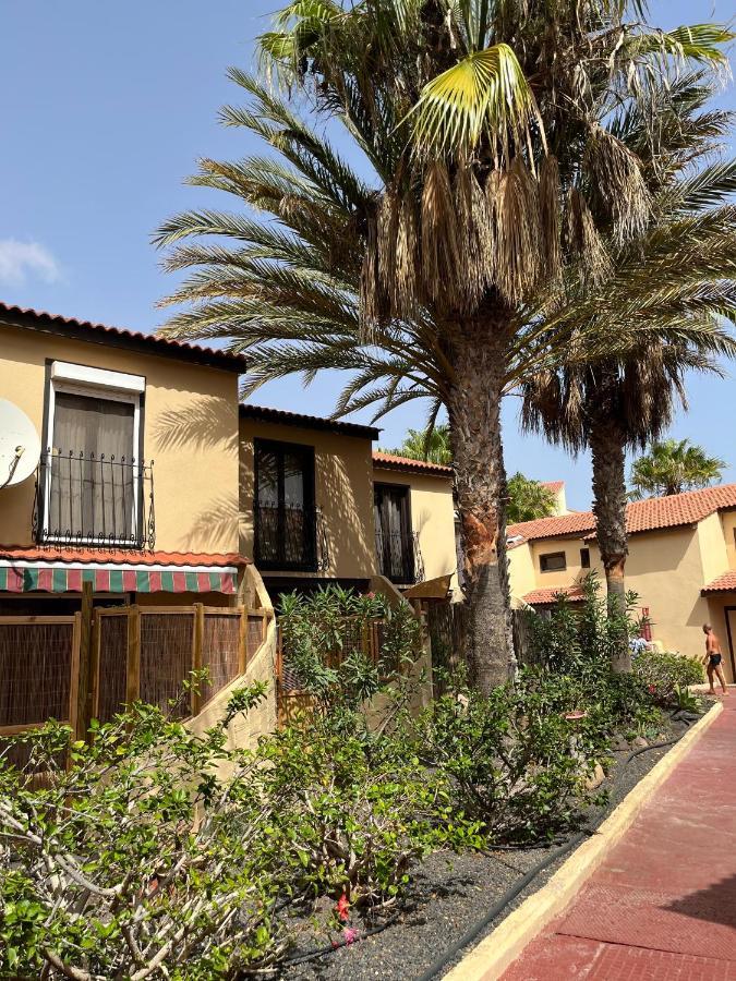 Surf & Chill Bungalow 69, Quiet Green Oasis With Community Swimmingpool Parque Holandes Luaran gambar