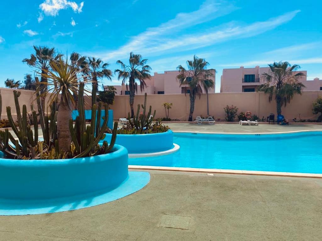 Surf & Chill Bungalow 69, Quiet Green Oasis With Community Swimmingpool Parque Holandes Luaran gambar